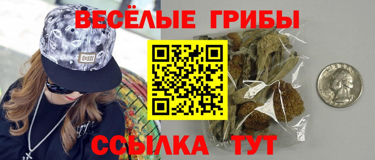 Псилоцибиновые грибы мухоморы Домодедово